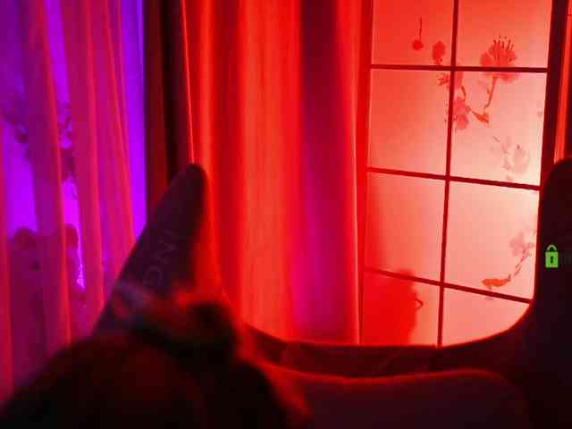 -ANN webcam