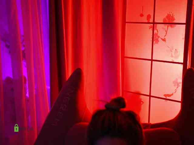 -ANN webcam