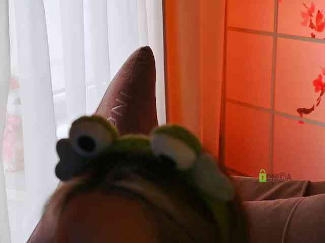 -ANN webcam