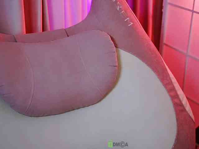 -ANN webcam