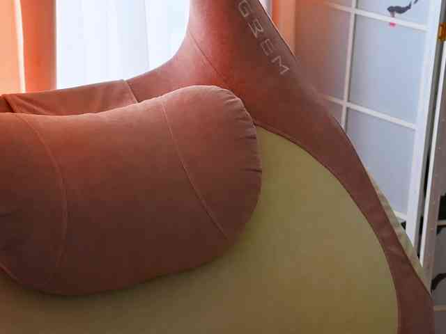 -ANN webcam
