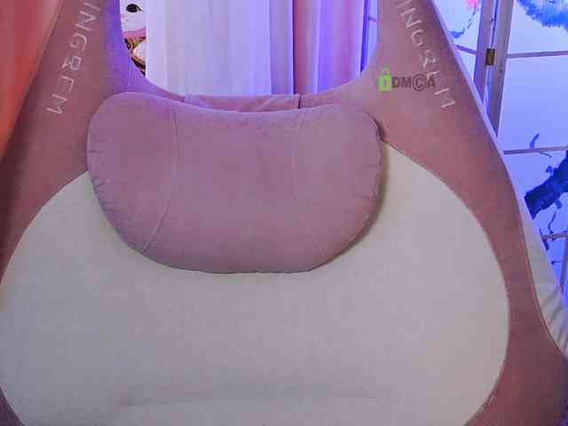 -ANN webcam