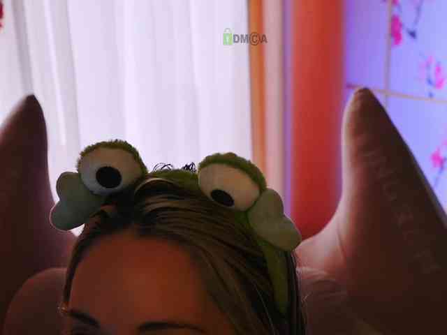 -ANN webcam