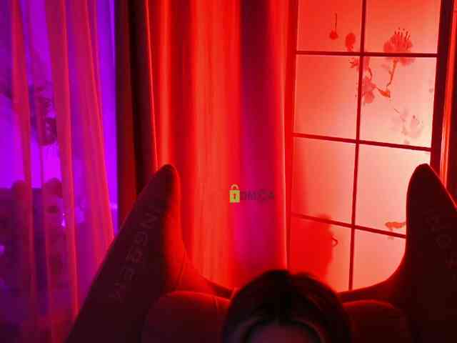 -ANN webcam