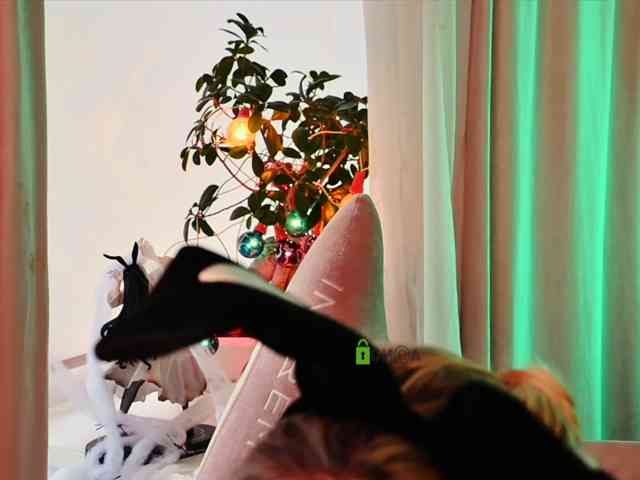 -ANN webcam