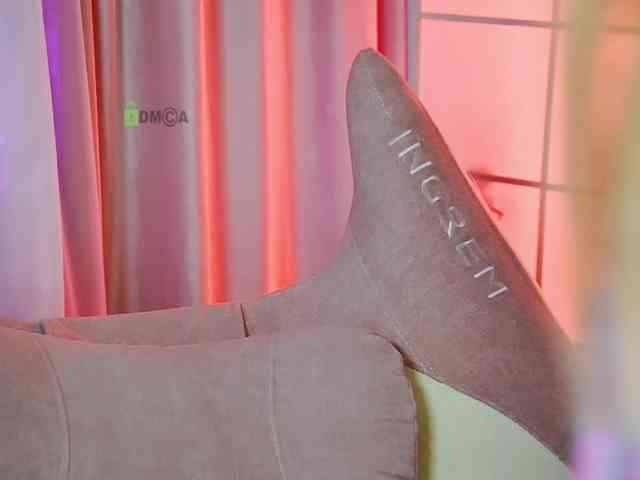 -ANN webcam