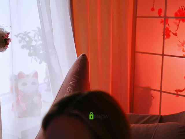 -ANN webcam