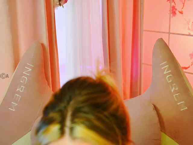 -ANN webcam