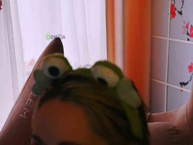 -ANN webcam