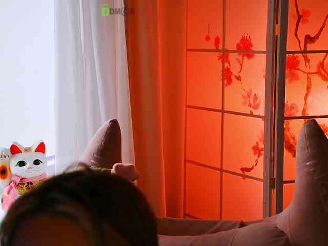 -ANN webcam