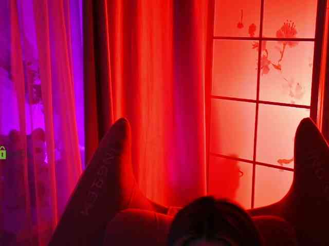 -ANN webcam