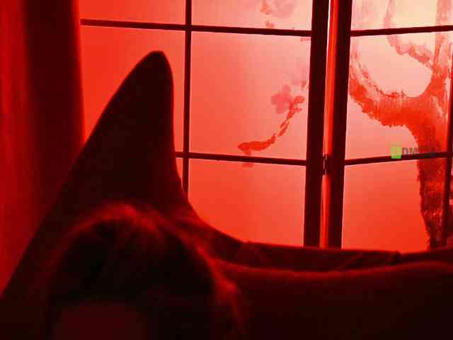 -ANN webcam