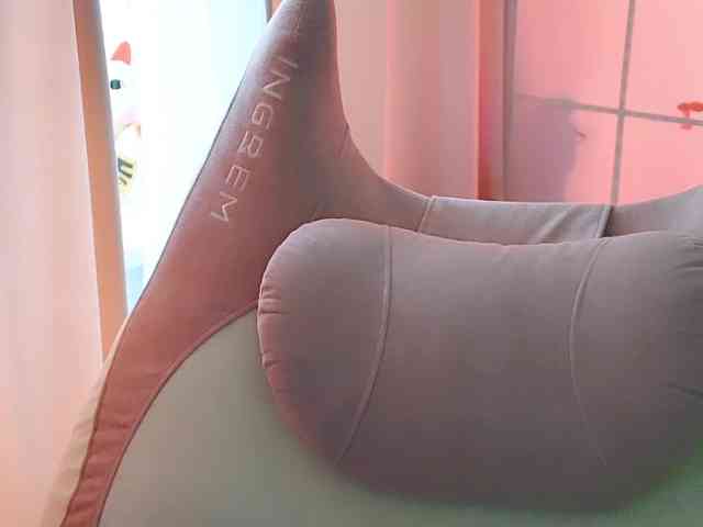 -ANN webcam