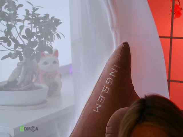 -ANN webcam