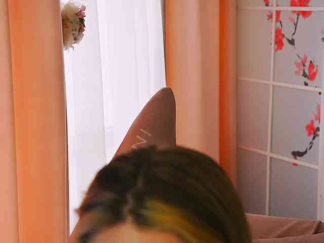 -ANN webcam