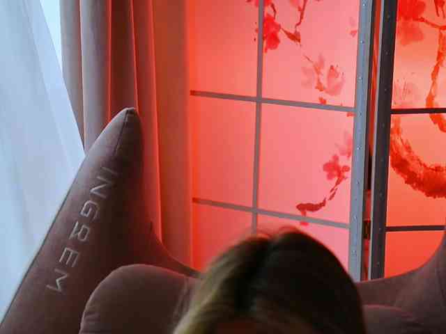-ANN webcam