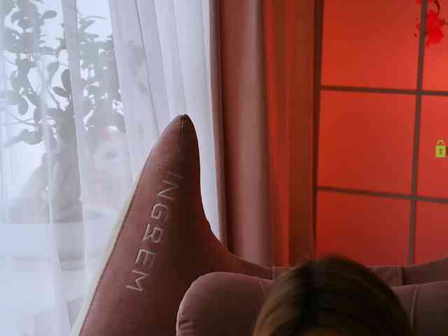 -ANN webcam