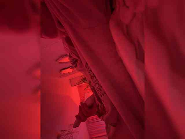 -ANN webcam