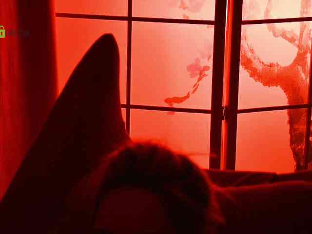 -ANN webcam