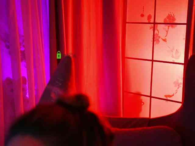 -ANN webcam