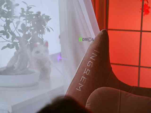 -ANN webcam