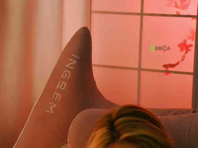 -ANN webcam