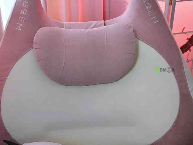 -ANN webcam