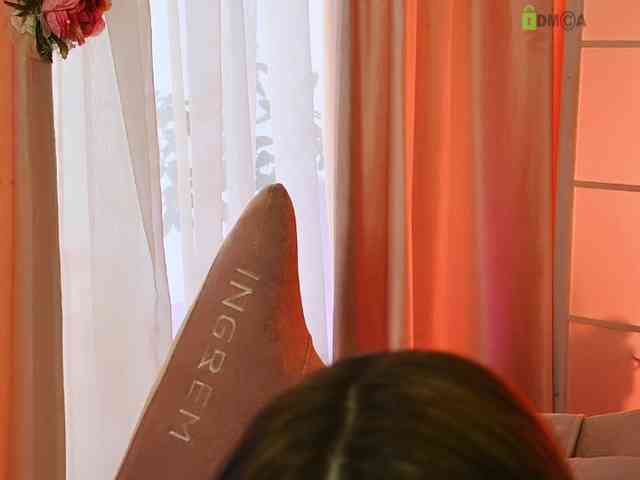 -ANN webcam