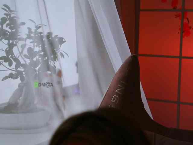 -ANN webcam