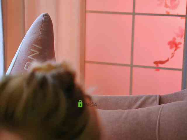 -ANN webcam