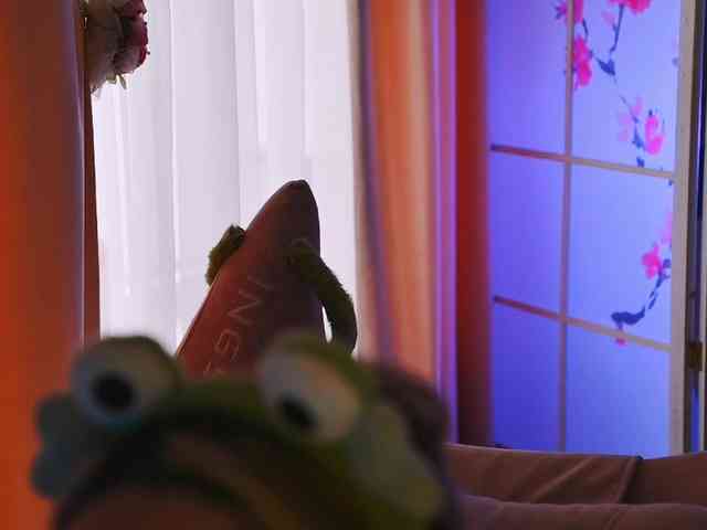 -ANN webcam