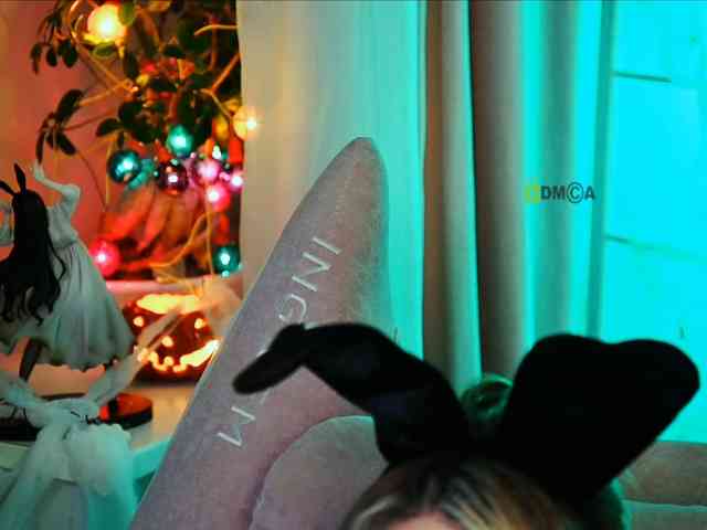 -ANN webcam