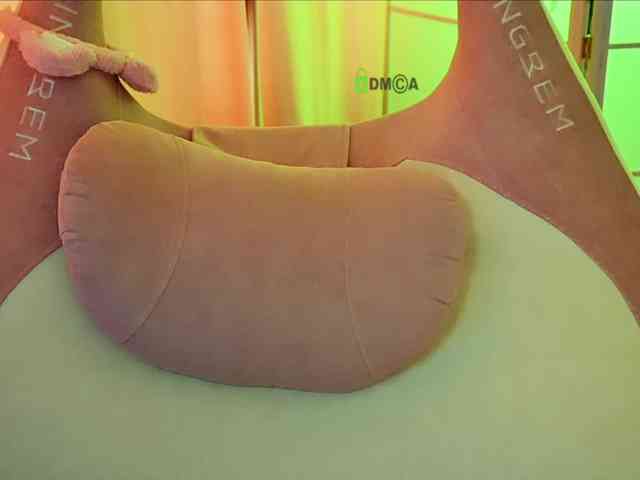 -ANN webcam