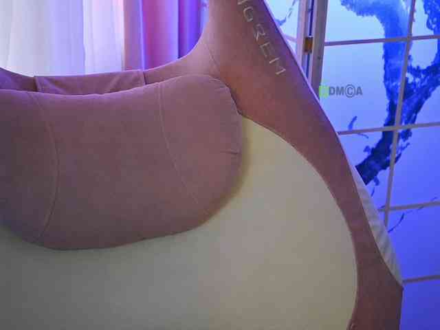-ANN webcam