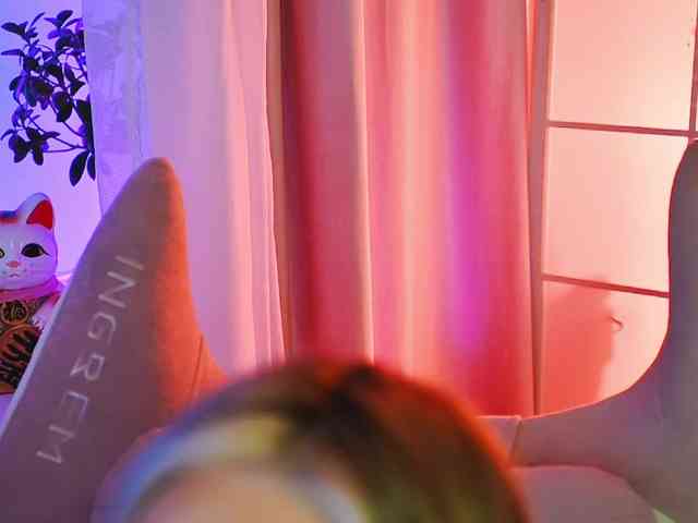 -ANN webcam
