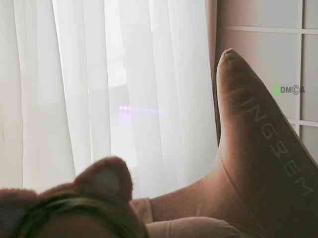 -ANN webcam