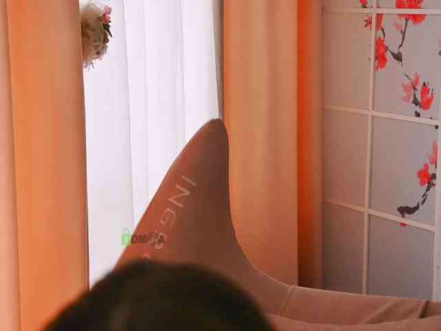 -ANN webcam