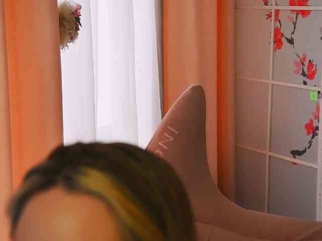 -ANN webcam