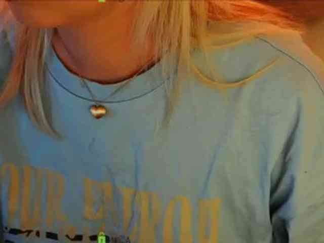 -ANN webcam