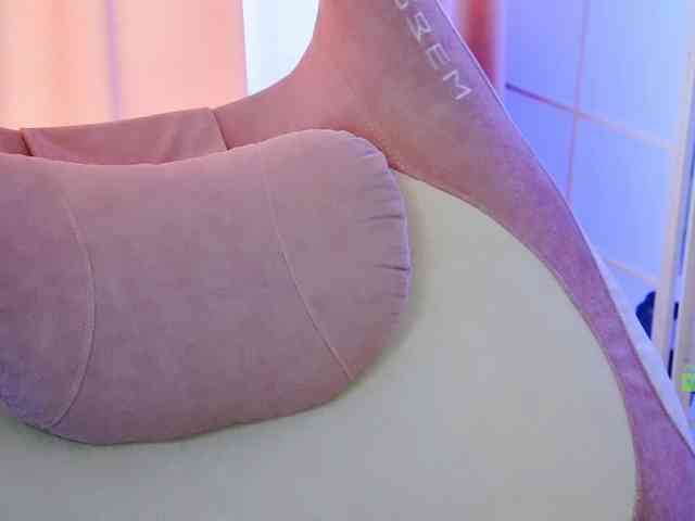 -ANN webcam