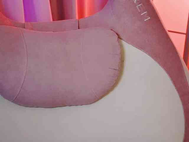 -ANN webcam