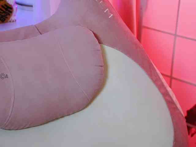 -ANN webcam