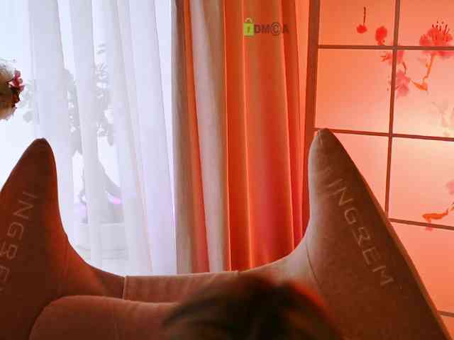 -ANN webcam