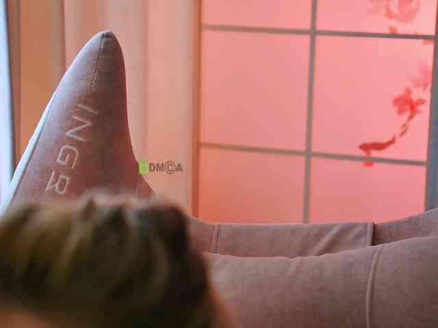 -ANN webcam