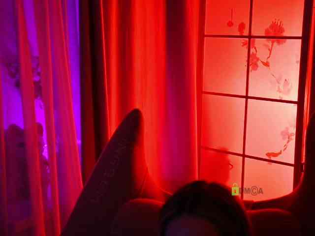 -ANN webcam