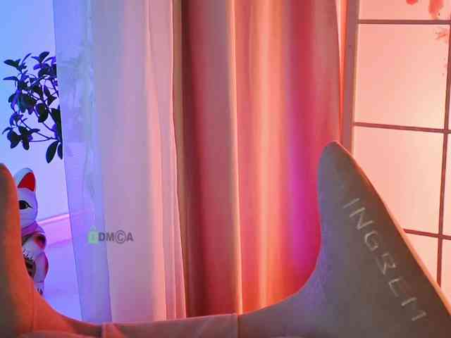 -ANN webcam