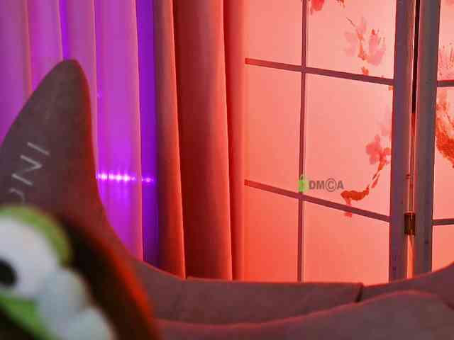 -ANN webcam