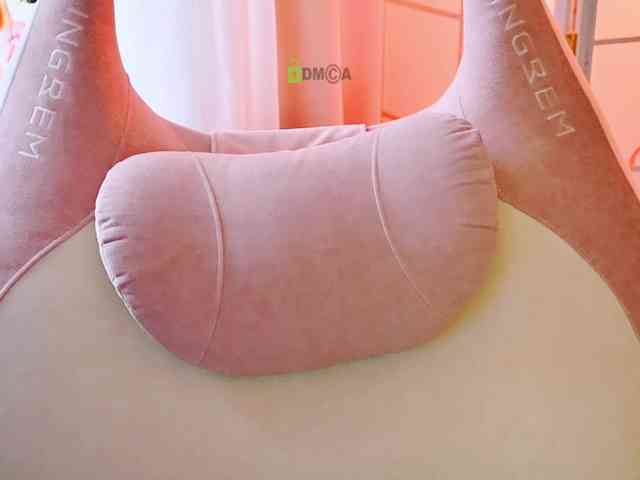 -ANN webcam