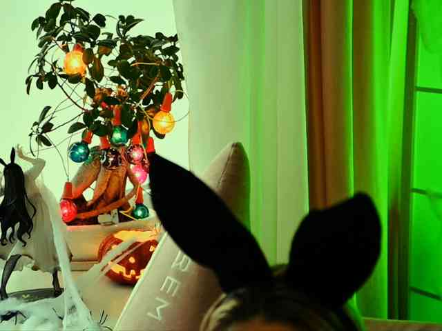 -ANN