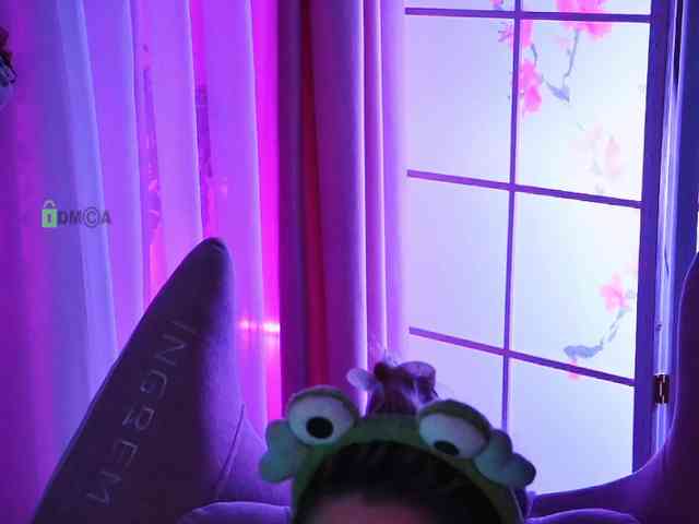 -ANN webcam